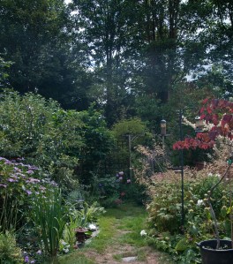 A 'before' photograph