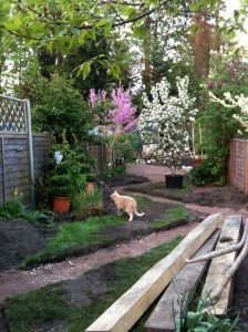 Caspar inspecting progress