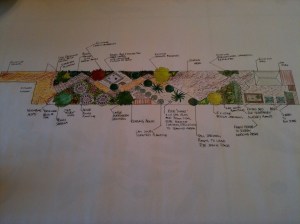 Plan for my garden