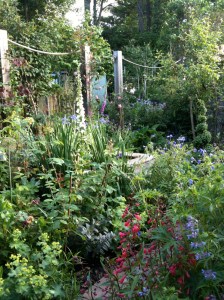 June garden