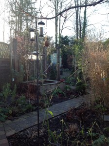Garden, January 1 2013