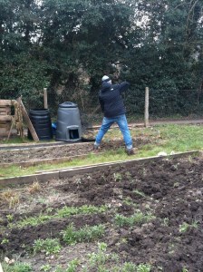 My under gardener gets stuck in (and blisters!)