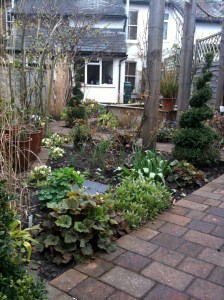 Looking down the garden
