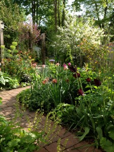 What a difference a week makes!