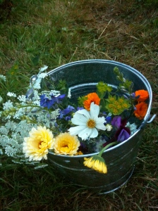 A bucket of #britishflowers cut from my allotment